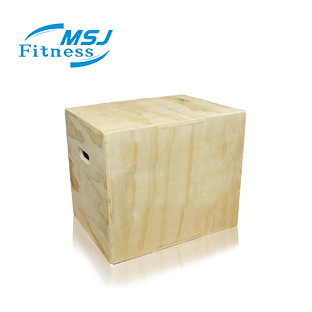 Gymnastics Training Wooden Ply - đánh giá và giá Plyo Jump Box
