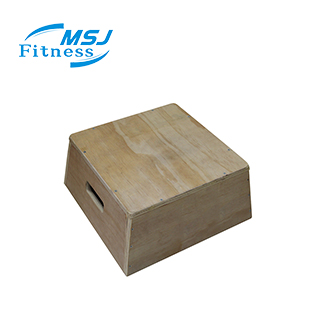 Gymnastics Training Wooden Ply - đánh giá và giá Plyo Jump Box
